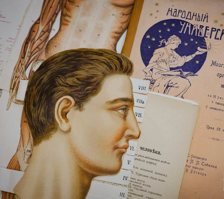 «Врата учености, источник знаний…»: отдел редких книг Публички открыл книжную выставку