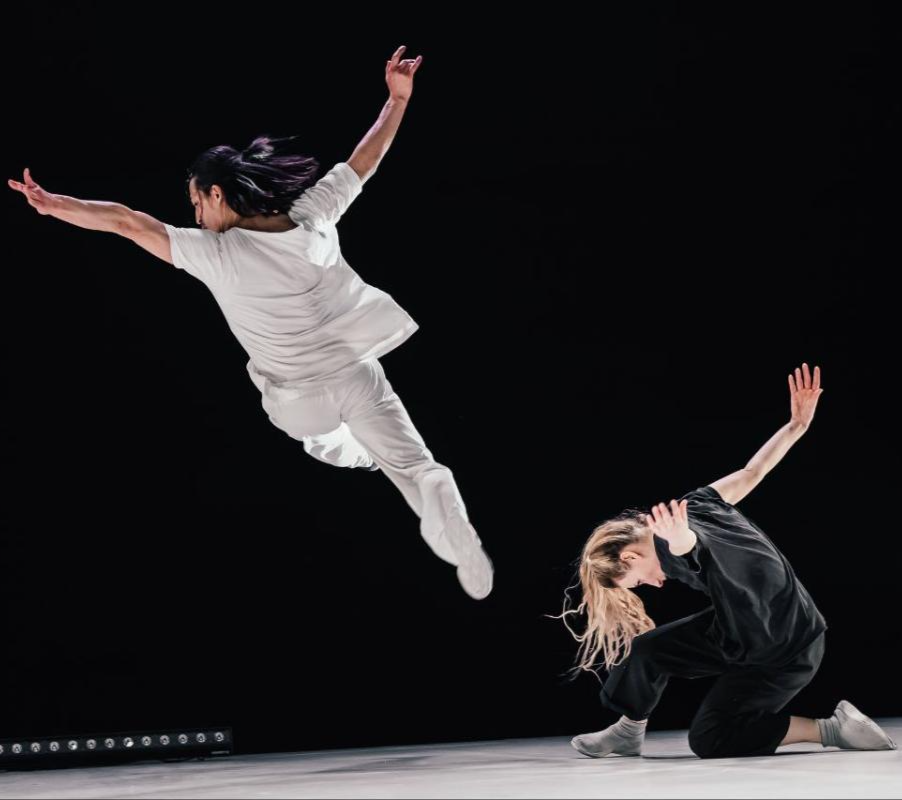 Икигай + Флора 