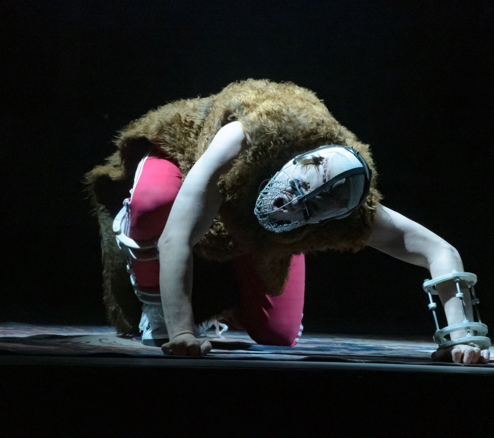 Собачье сердце