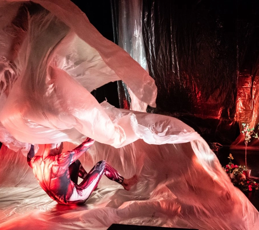 Яблоня на Марсе  +  Маяк три пути.