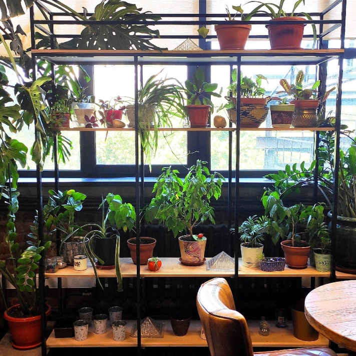 Играем в «Имаджинариум» и пьем чай