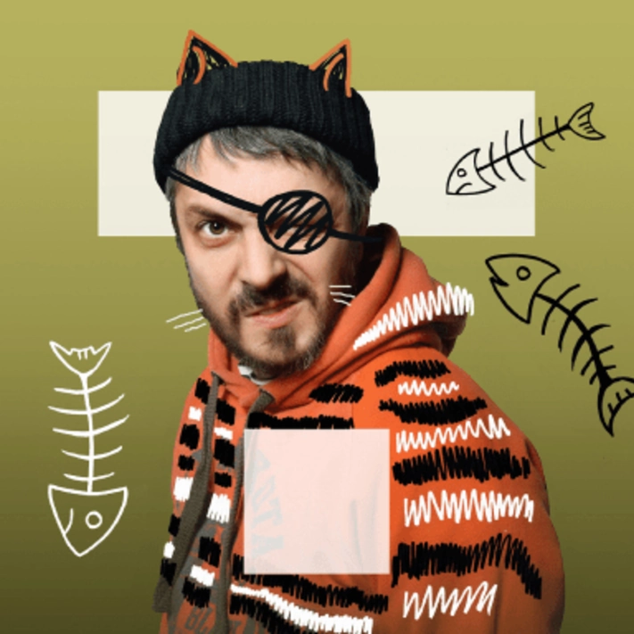 Созвездие бродячих котов